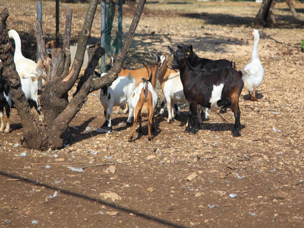 Tenuta Lama Gorga Trani Exterior foto